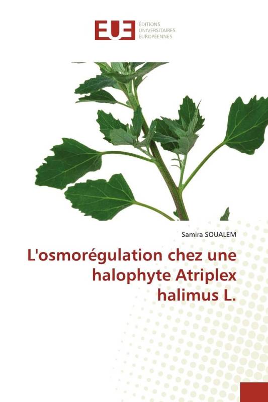 L'osmorégulation chez une halophyte Atriplex halimus L.