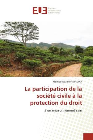 La participation de la société civile à la protection du droit
