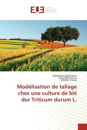 Modélisation de tallage chez une culture de blé dur Triticum durum L.