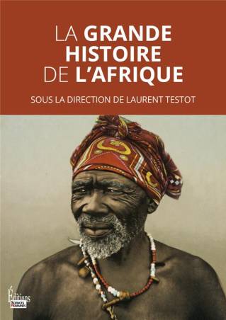 La grande histoire de l'Afrique Laurent Testot