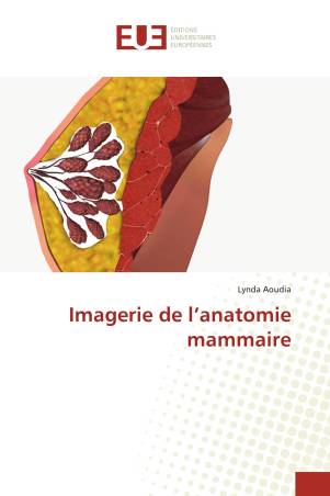 Imagerie de l’anatomie mammaire