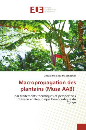 Macropropagation des plantains (Musa AAB)