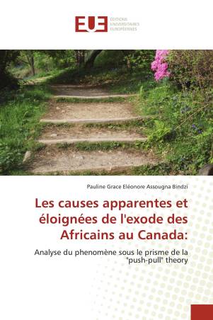 Les causes apparentes et éloignées de l'exode des Africains au Canada:
