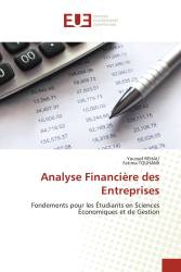 Analyse Financière des Entreprises