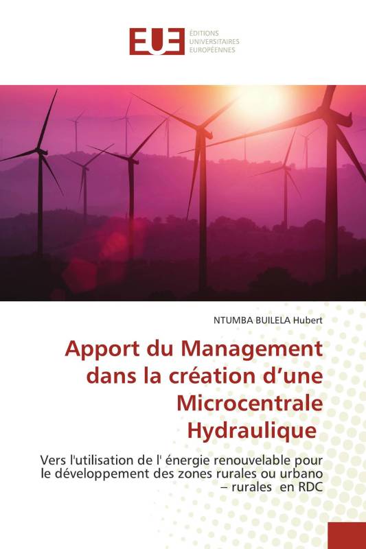 Apport du Management dans la création d’une Microcentrale Hydraulique