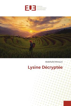 Lysine Décryptée