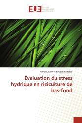 Évaluation du stress hydrique en riziculture de bas-fond