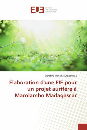 Élaboration d&#039;une EIE pour un projet aurifère à Marolambo Madagascar