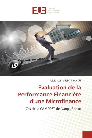 Evaluation de la Performance Financière d'une Microfinance