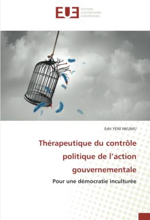 Thérapeutique du contrôle politique de l’action gouvernementale