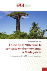 Étude de la VBG dans le contexte environnemental à Madagascar