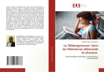 Le ‘Bildungsroman’ dans les littératures allemande et africaine