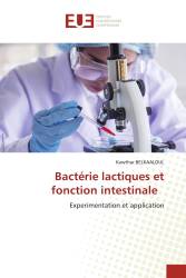 Bactérie lactiques et fonction intestinale