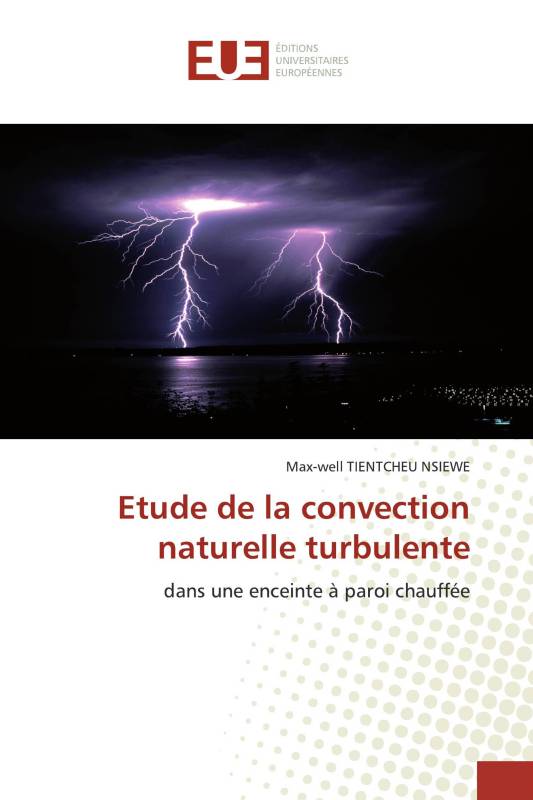 Etude de la convection naturelle turbulente