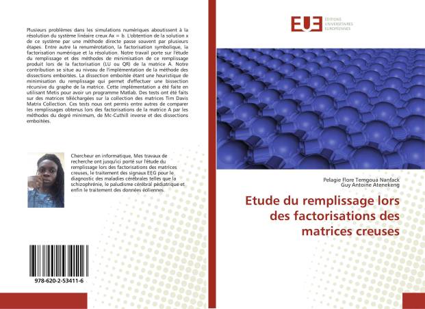 Etude du remplissage lors des factorisations des matrices creuses