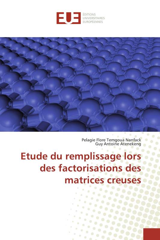 Etude du remplissage lors des factorisations des matrices creuses