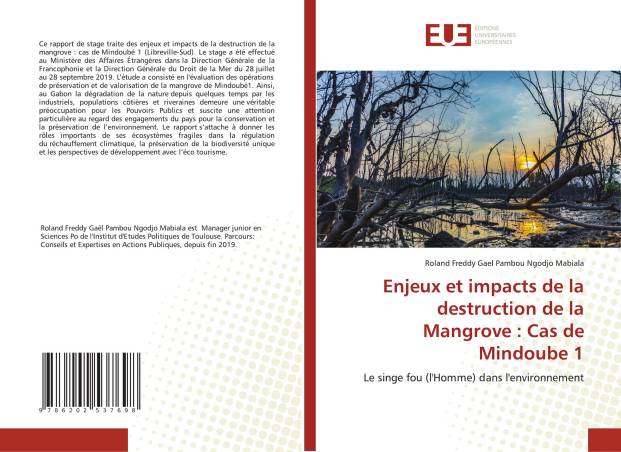 Enjeux et impacts de la destruction de la Mangrove : Cas de Mindoube 1