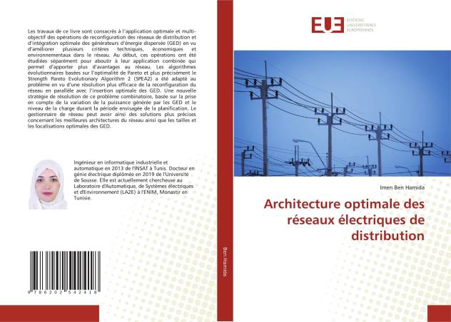 Architecture optimale des réseaux électriques de distribution