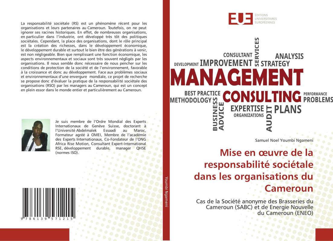 Mise en œuvre de la responsabilité sociétale dans les organisations du Cameroun