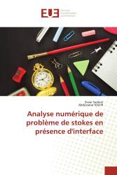 Analyse numérique de problème de stokes en présence d'interface