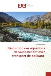 Résolution des équations de Saint-Venant avec transport de polluant