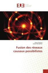 Fusion des réseaux causaux possibilistes