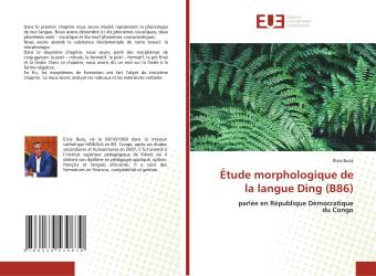 Étude morphologique de la langue Ding (B86)