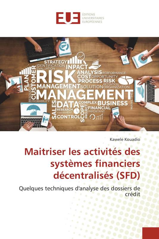 Maitriser les activités des systèmes financiers décentralisés (SFD)