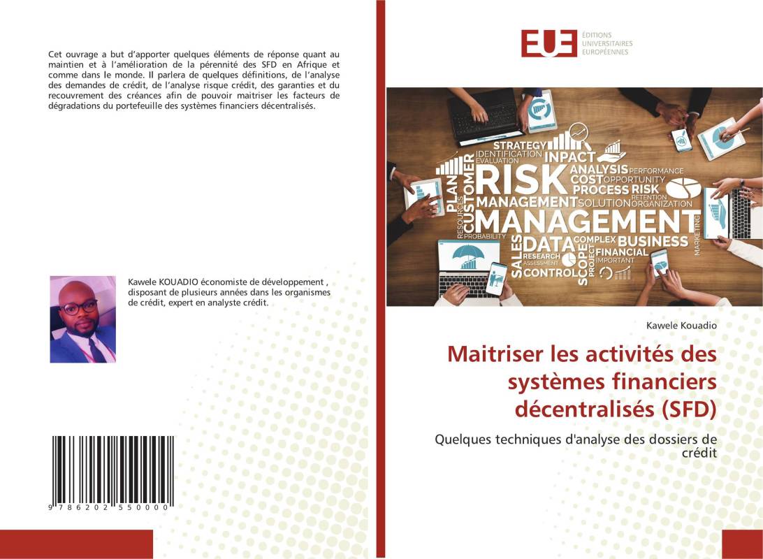 Maitriser les activités des systèmes financiers décentralisés (SFD)