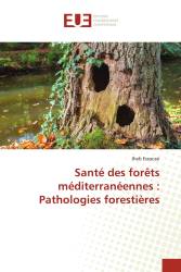 Santé des forêts méditerranéennes : Pathologies forestières