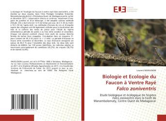 Biologie et Ecologie du Faucon à Ventre Rayé Falco zoniventris