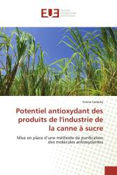 Potentiel antioxydant des produits de l'industrie de la canne à sucre