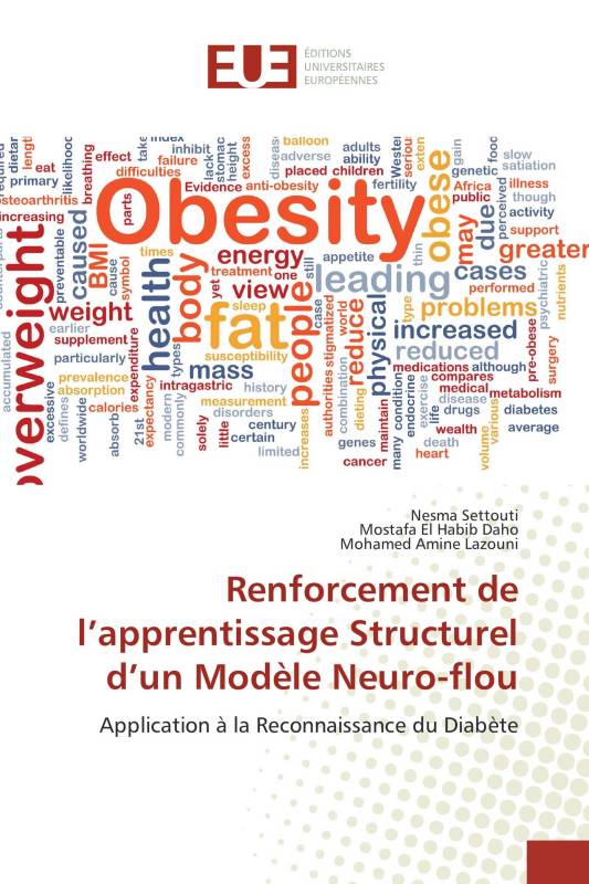 Renforcement de l’apprentissage Structurel d’un Modèle Neuro-flou