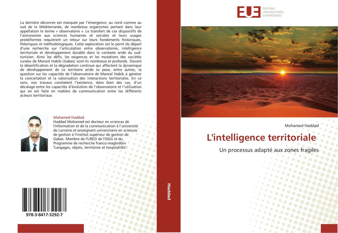 L'intelligence territoriale