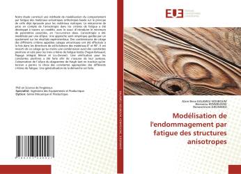 Modélisation de l'endommagement par fatigue des structures anisotropes