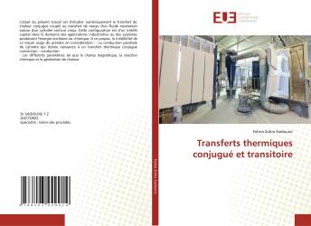 Transferts thermiques conjugué et transitoire