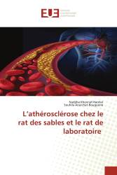 L’athérosclérose chez le rat des sables et le rat de laboratoire