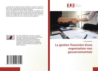 La gestion financière d'une organisation non gouvernementale