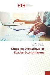 Stage de Statistique et Etudes Economiques