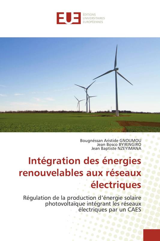 Intégration des énergies renouvelables aux réseaux électriques