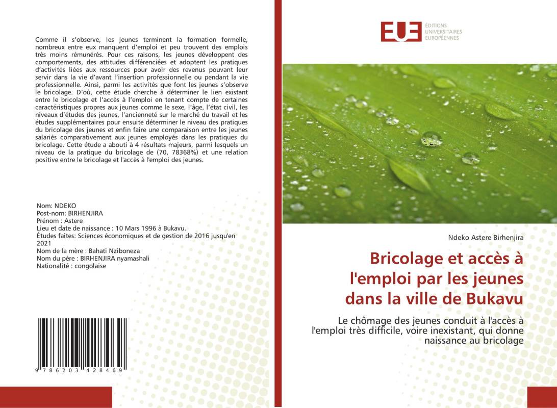 Bricolage et accès à l'emploi par les jeunes dans la ville de Bukavu