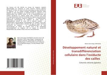 Développement naturel et transdifférenciation cellulaire dans l’oviducte des cailles