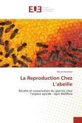 La Reproduction Chez L’abeille