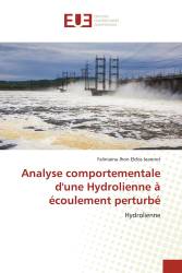 Analyse comportementale d'une Hydrolienne à écoulement perturbé