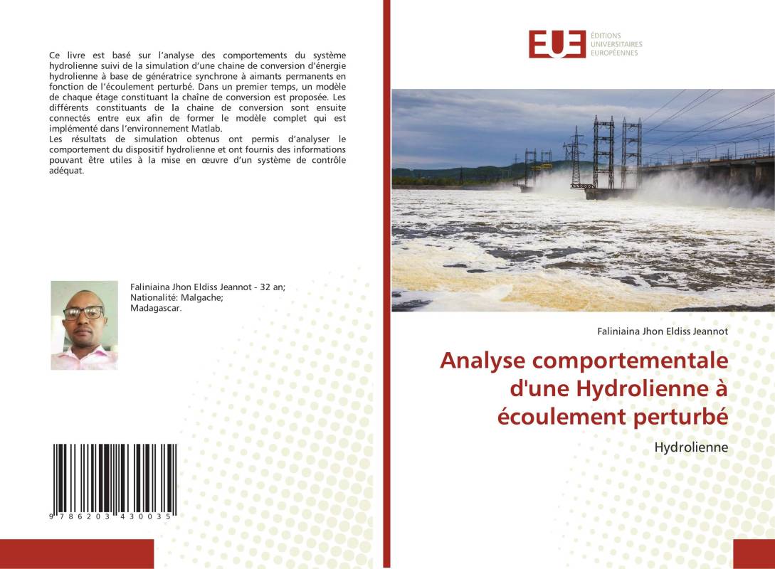 Analyse comportementale d'une Hydrolienne à écoulement perturbé