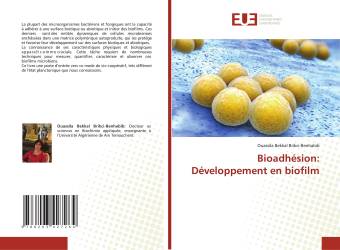 Bioadhésion: Développement en biofilm