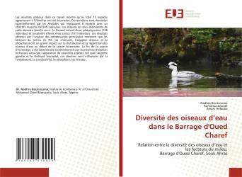 Diversité des oiseaux d’eau dans le Barrage d'Oued Charef