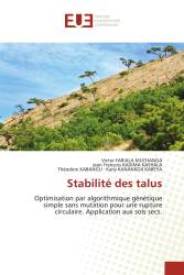 Stabilité des talus