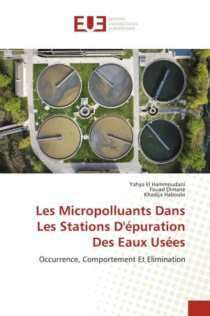 Les Micropolluants Dans Les Stations D&#039;épuration Des Eaux Usées