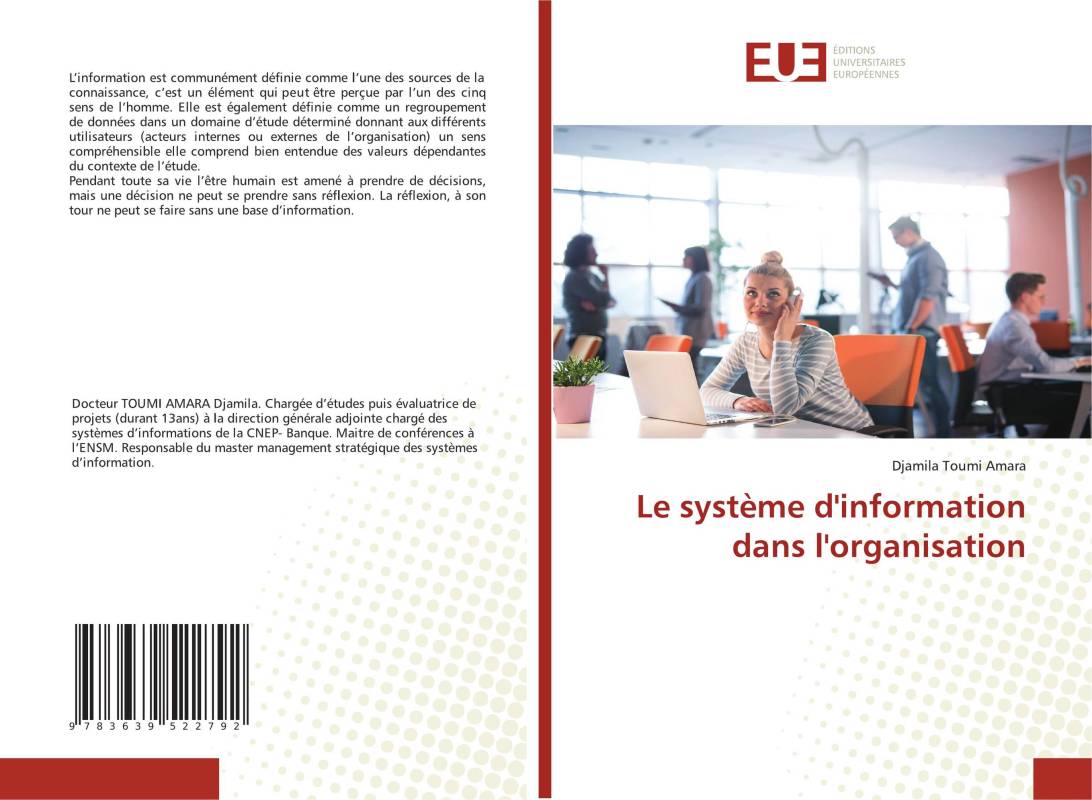 Le système d'information dans l'organisation